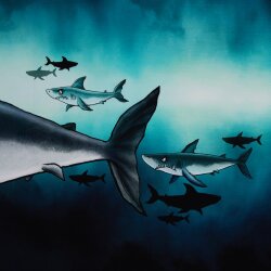 Sweat Panel, Shark Tank by Thorsten Berger, ca. 83 cm x 150 cm